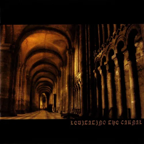 Levitating The Carnal