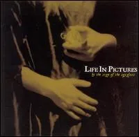 By The Sign Of The Spyglass