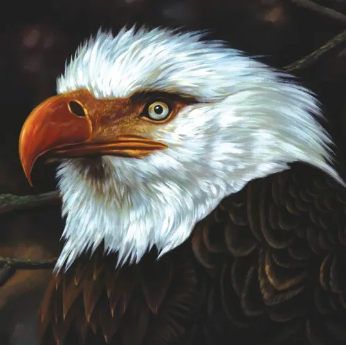 Hawk Is Howling (Japan_Edition)