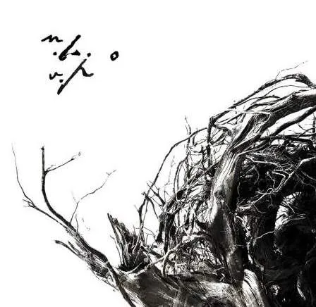 Vîrstele Pămîntului