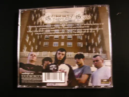 Slit Throat Andromeda