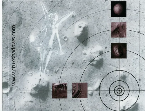 Telemetry Of A Fallen Angel